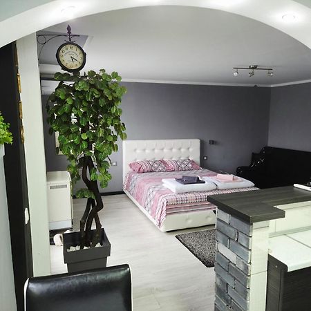 Savic Apartment Center - Parking Free Ниш Экстерьер фото