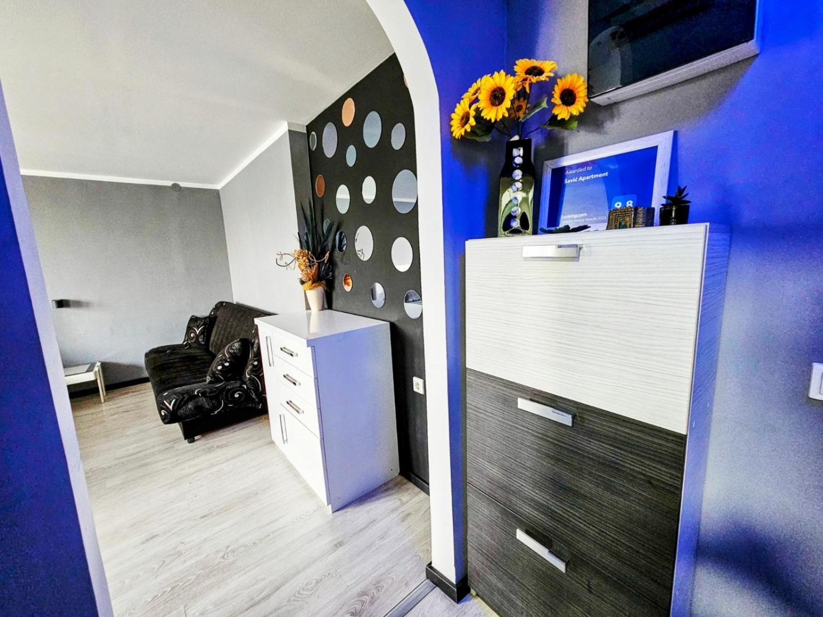 Savic Apartment Center - Parking Free Ниш Экстерьер фото